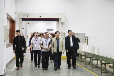 全國政協(xié)提案委員會主任李智勇到埃及公司調研